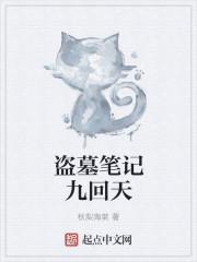 盗墓笔记九回天南派三叔