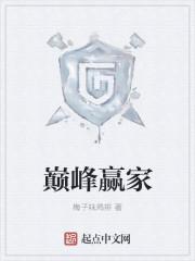 巅峰玩家1