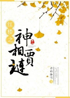 红楼之神相贾琏无防盗