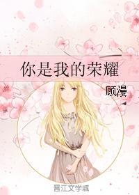 你是我的荣耀是哪一年播出的