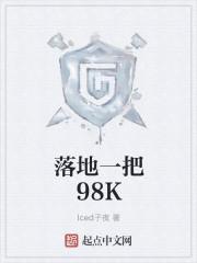 落地一把98K 全本免费