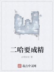 二哈2.0在第几章