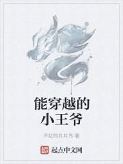 穿越小王妃全文免费阅读