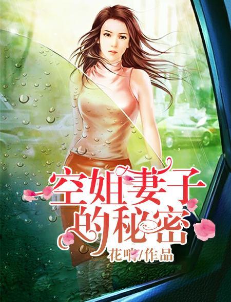空姐妻子的秘密服务