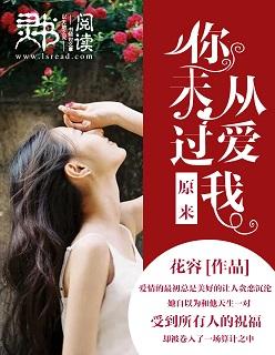 原来你从未爱过我歌词是什么歌