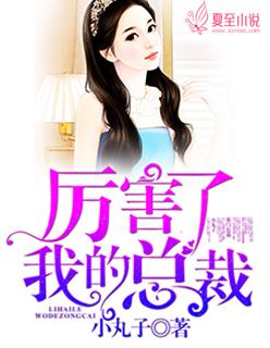 我的高冷总裁gl