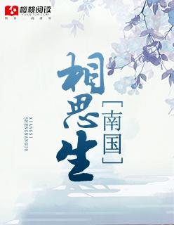 南国相思豆下一句