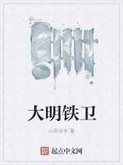 大明铁卫全集完结版