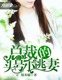 总裁的首席逃妻小妈咪