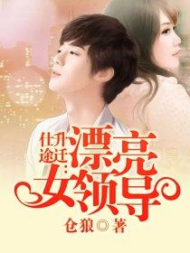仕途升迁漂亮女领导(仓狼)
