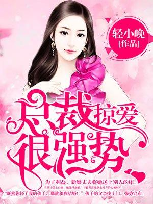 总裁掠爱100天完整版