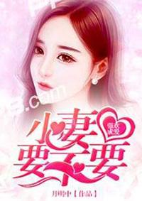 小老婆怎么样