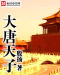 大唐天子40集免费版