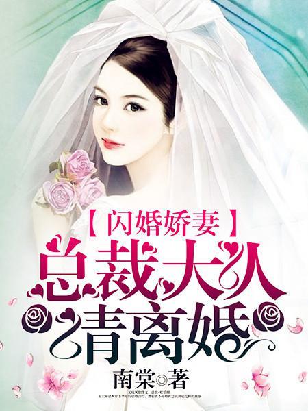 闪婚娇妻总裁大人请离婚大结局