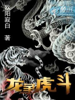 龙争虎斗二六七猜一数字