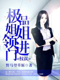 极品姐姐领进门大结局