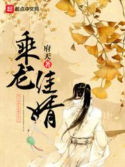 乘龙佳婿还是乘龙嘉婿