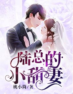 陆总轻宠小甜妻在线看