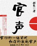 官声权力巅峰全文免费阅读