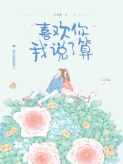 喜欢你我说了算叶非夜全文免费阅读