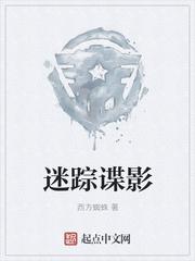 迷踪谍影 第1745章