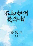 不知如何爱你时TXT全集