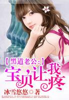 黑道老公宝贝让我疼