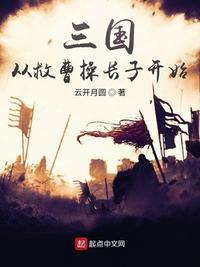 三国从救曹操长子开始动漫