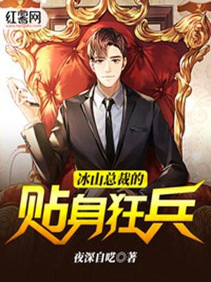 冰山总裁的贴身狂兵女主