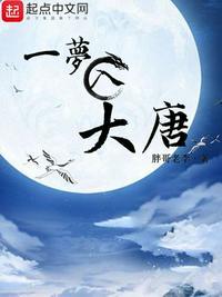 一梦入大唐文案