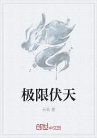 极限伏天全文TXT