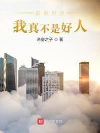 影视世界我真不是好人H版