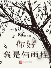 你好我是何雨柱_