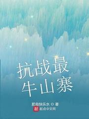 抗战最牛山寨之高九