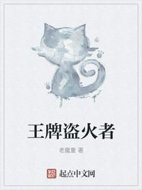 明日盗火者在线阅读