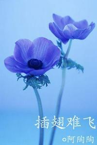 沈初云陆进晋江章节