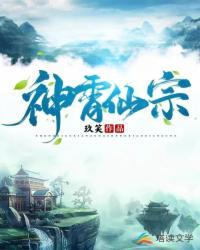 神霄仙宗林枫全集