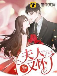 离婚后夫人又怀了 云盘