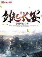 剑起长安百科百科