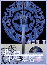 我不是慕容冲by楚云暮