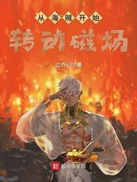 从海贼开始转动磁场 是否完本