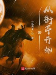 三国从街亭开始夏侯献