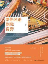 愿你迷路到我身旁婉晴