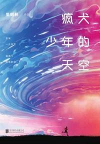 风犬少年的天空有第二部吗