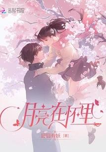 月亮在怀里百度提取码