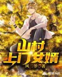 山村上门女婿一夫三妾刘艳故事