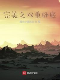 完美之双重卧底女主有几个