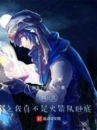 精灵之我不是配角