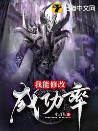 我能修改成功率TXT免费