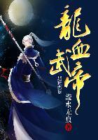龙血武帝免费全文阅读